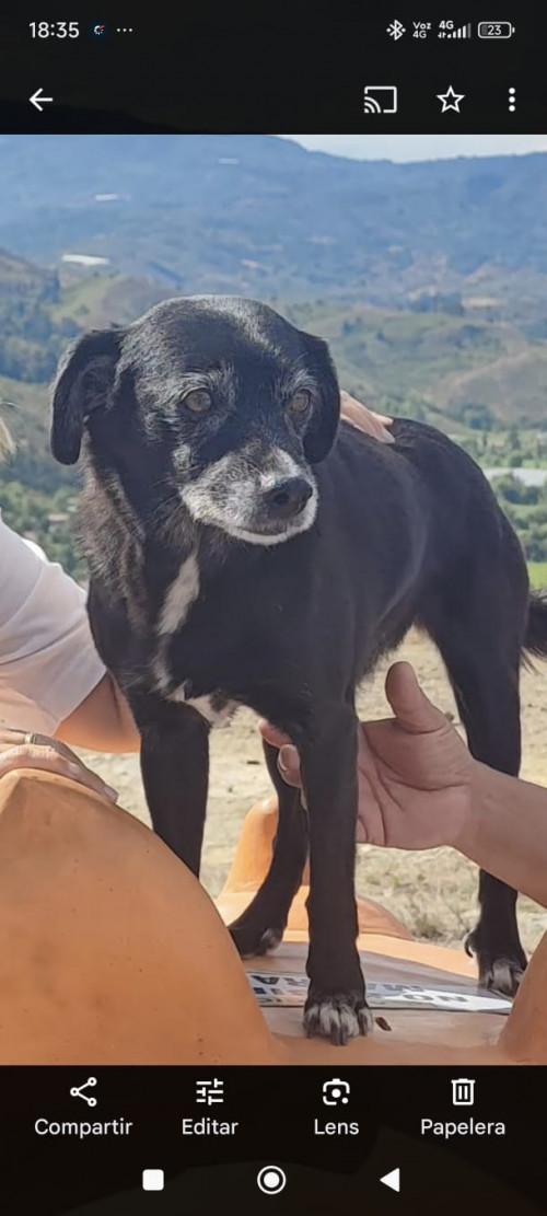 Tina