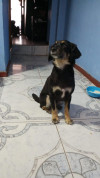 Foto de Juanita en Pasto Nariño #0