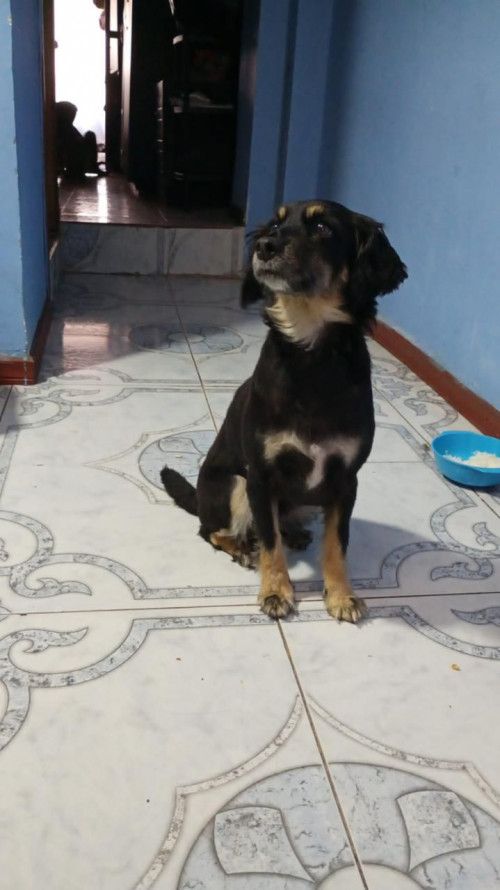 Juanita