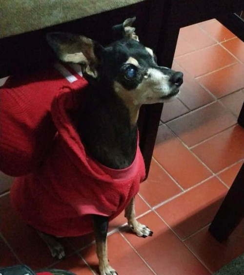 Lupita