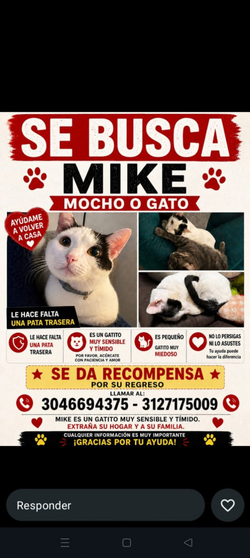 Mike