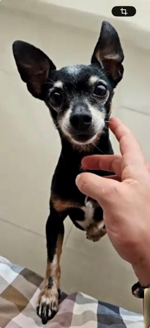 Milo