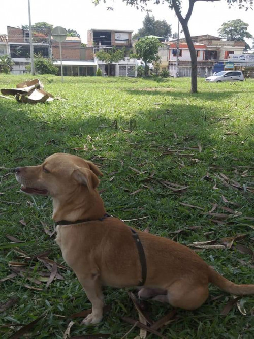 Mike