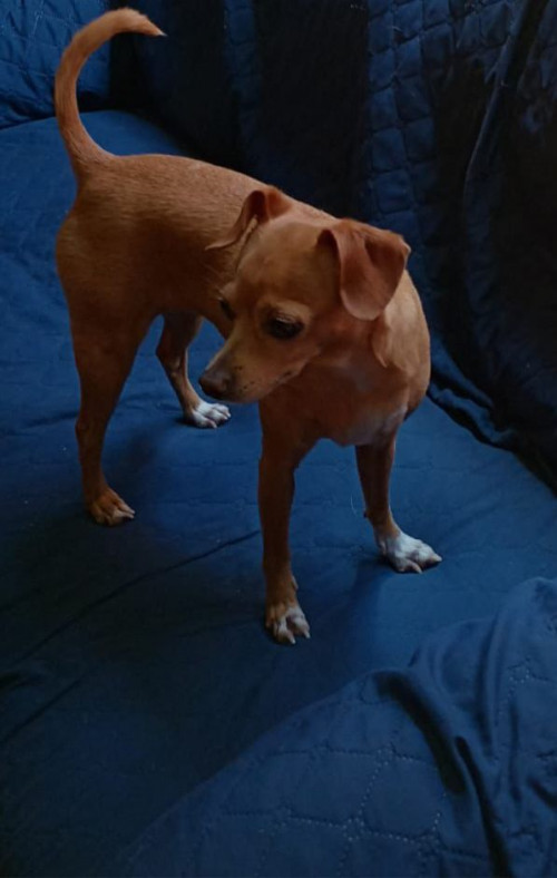 Fiona