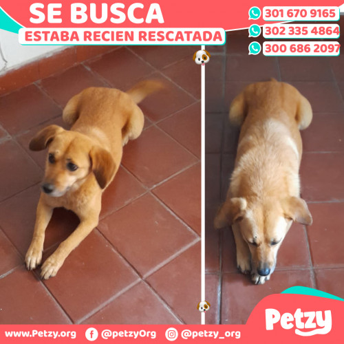 Banner de Reciente Rescatada