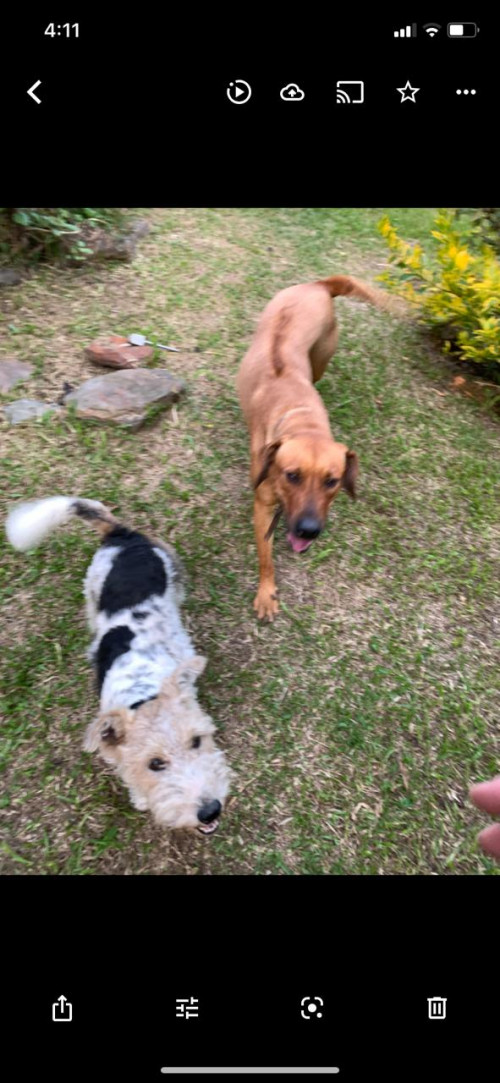 Nara Y Max