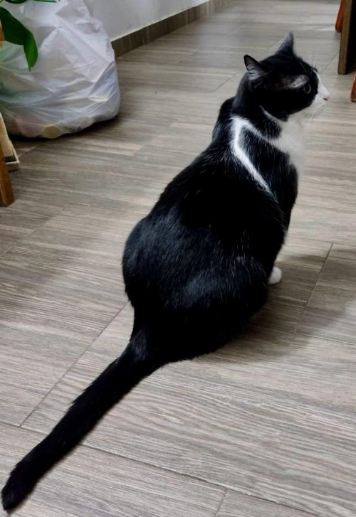 Zeus