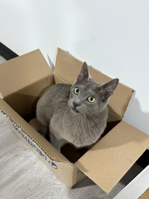 Ramón