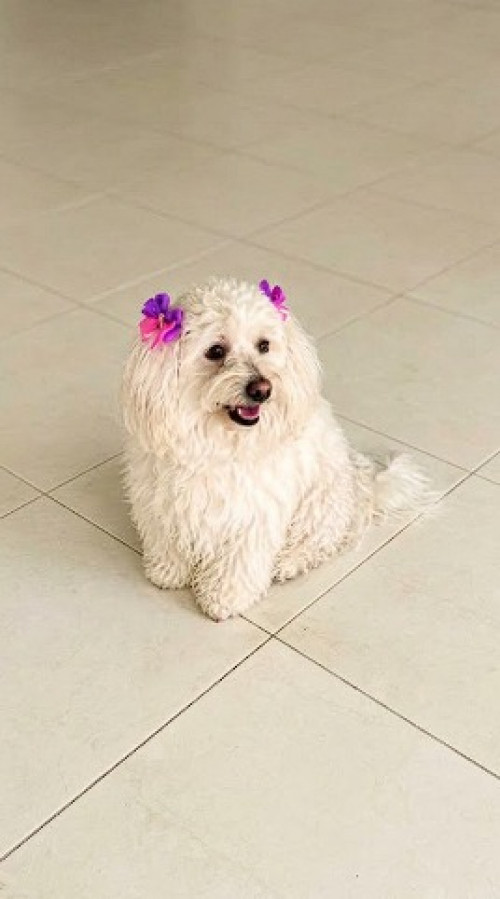 Kiara