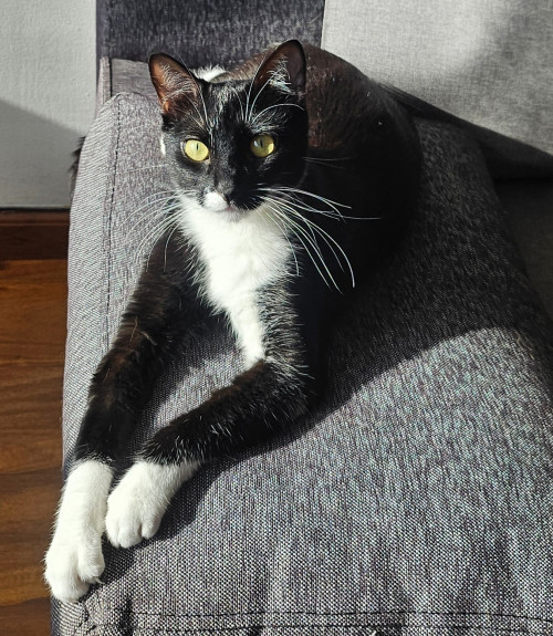 Luna