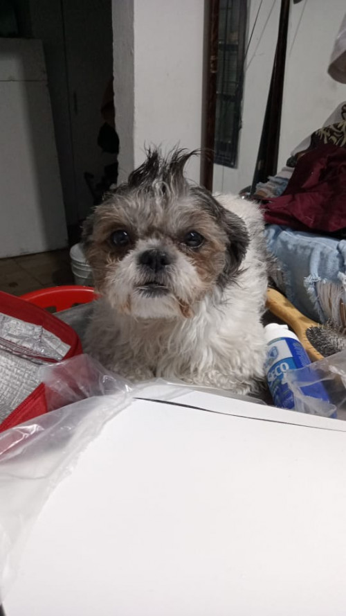 Bengie