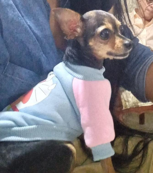Princesa