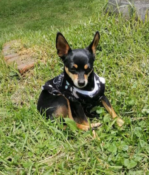 Niña