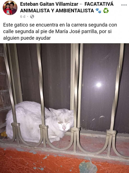 Mor