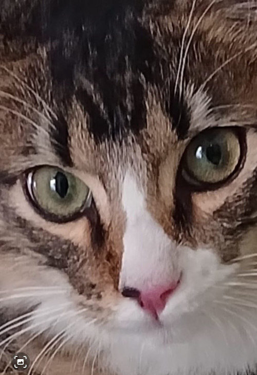 Symba