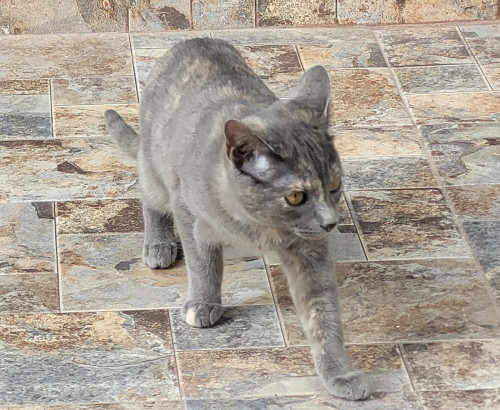 Luna