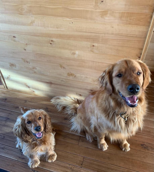 Bongo Y Milo