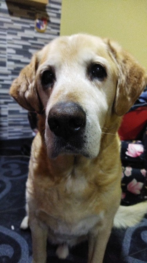 Max