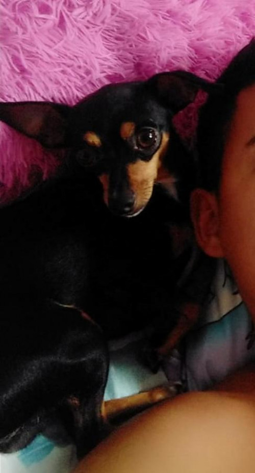 Toby 