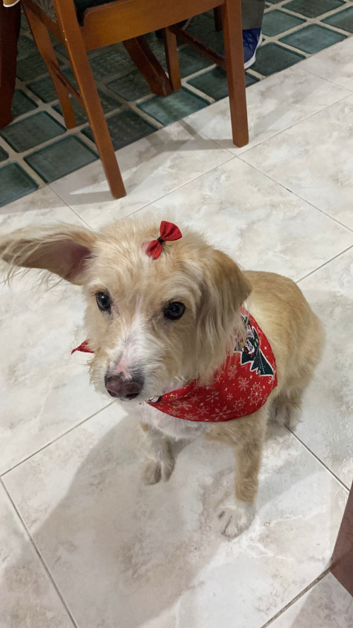 Muñeca