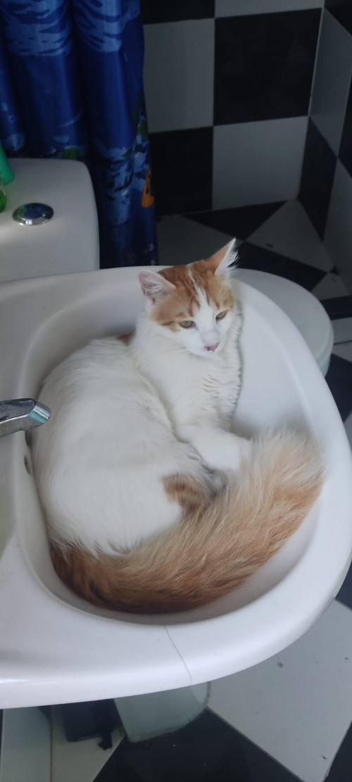 Kiara