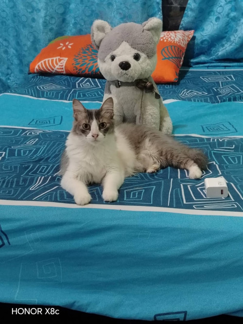 Oscar