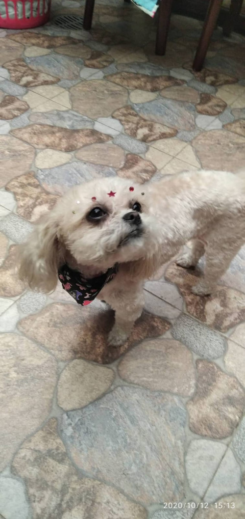 Lupita