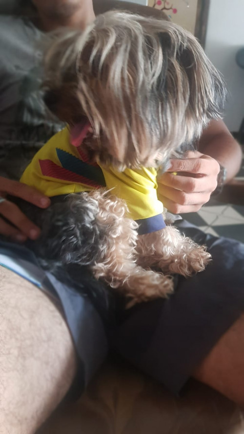 Mocca