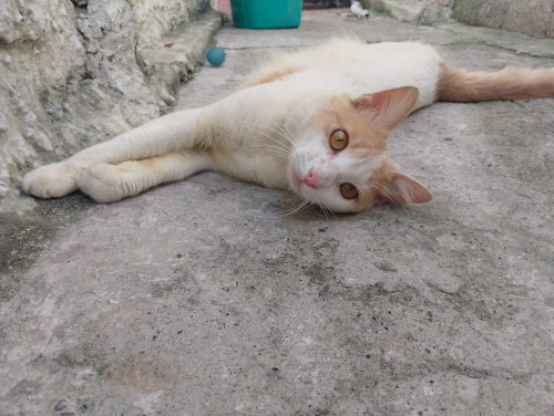 José Luis
