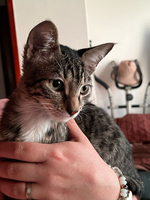 Oliver