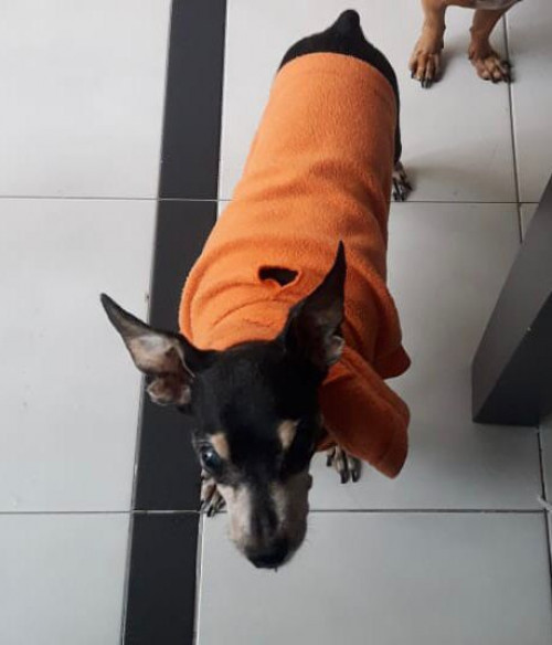Lupita