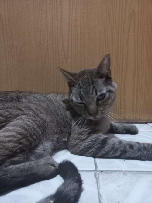 Bilbo