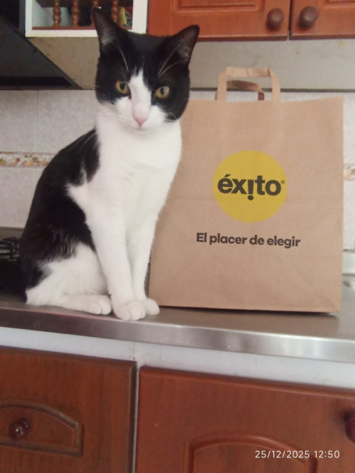 Negro