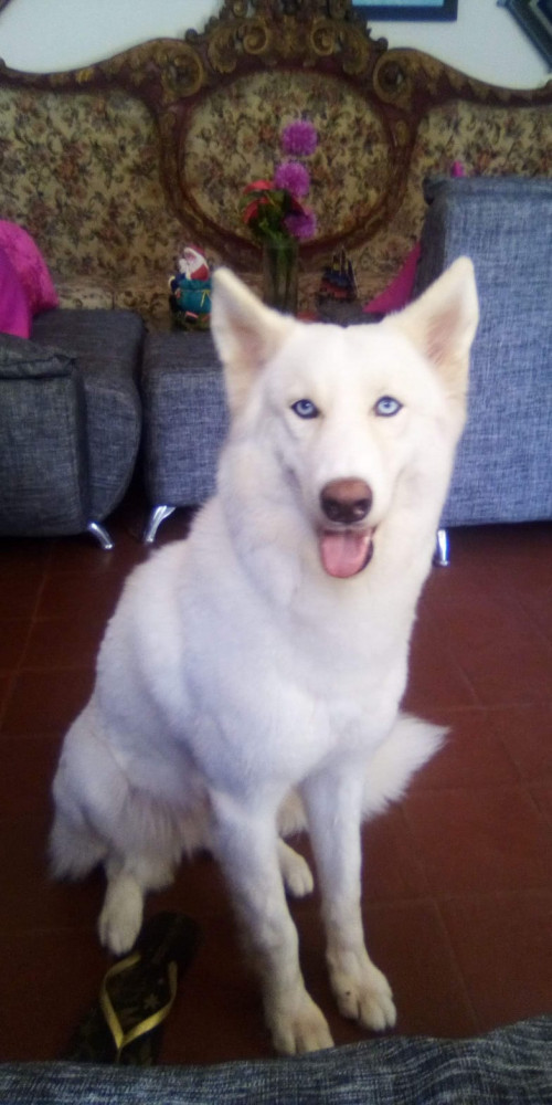 Cloe