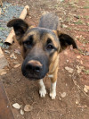 Foto de Aquiles en Yumbo Valle del Cauca #3