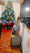 Foto de Bruno en Medellin Antioquia #9