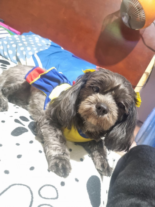 Muñeca