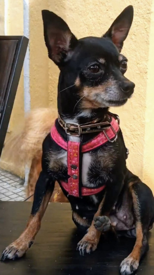 Betty