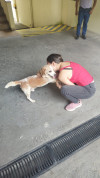 Foto de Locky en Cali Valle del Cauca #4