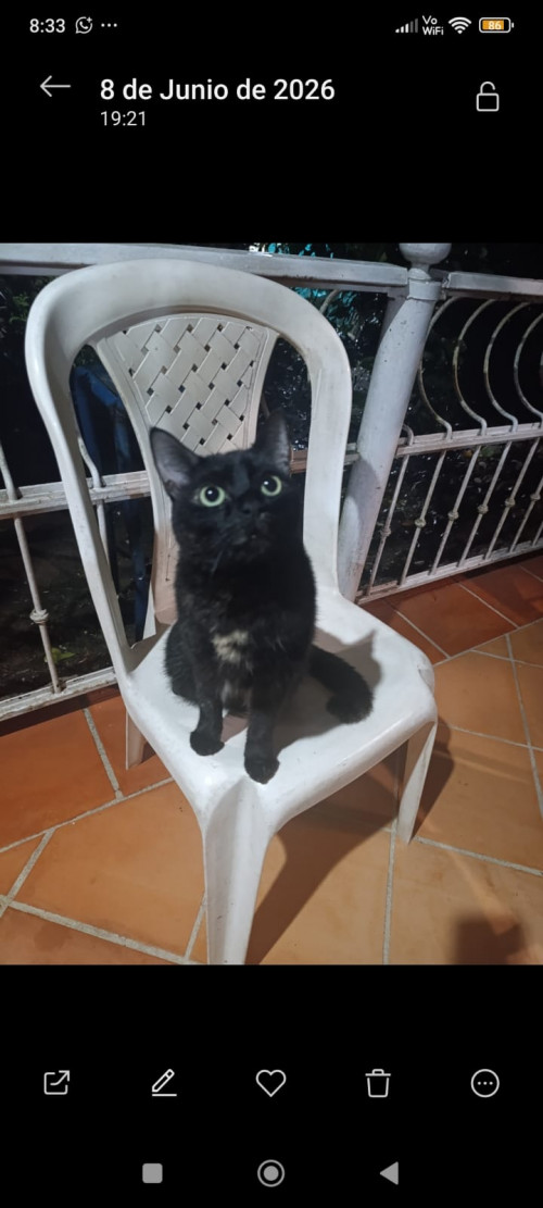 Cloe