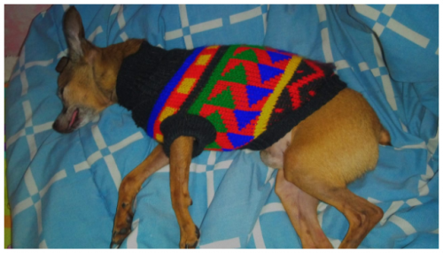 Pepito
