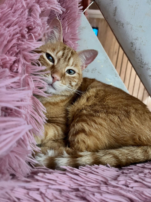 Zoe