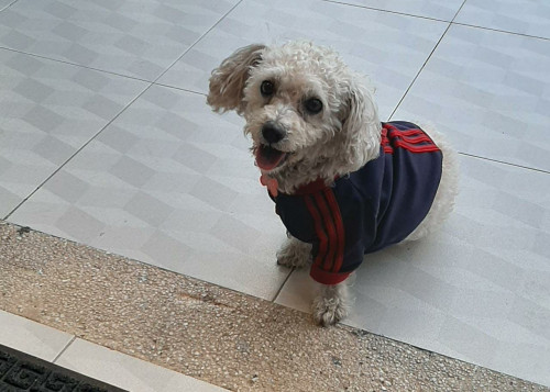 Tobby