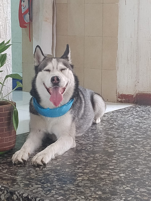 Bruce