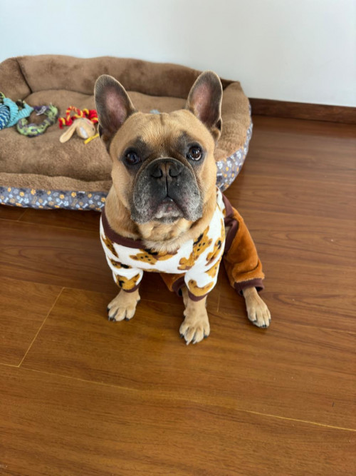 Max