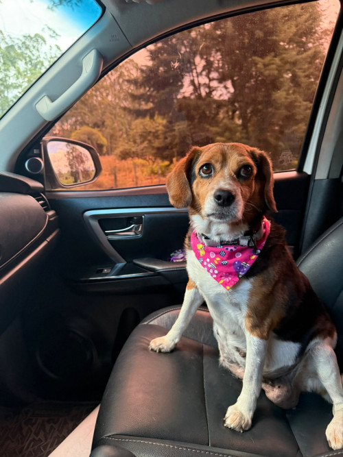Maggie