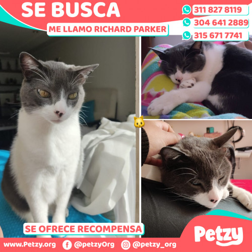 Foto de mascota Richard Parker