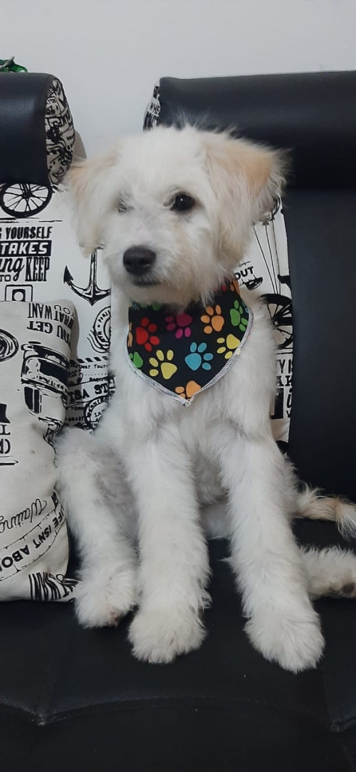 Morita