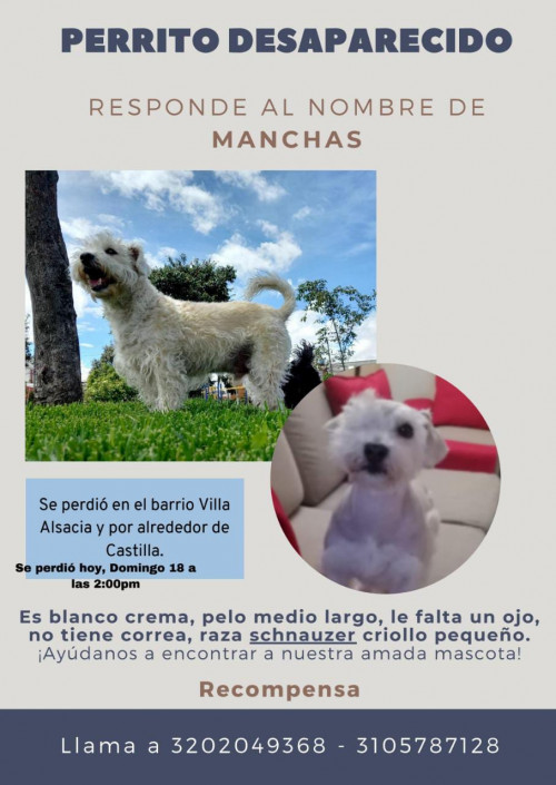 Manchas