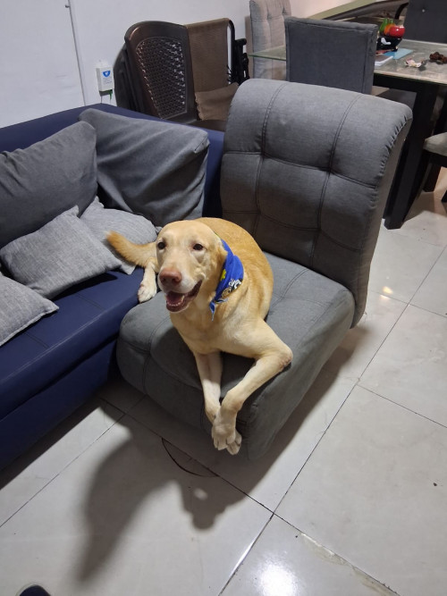 Zeus